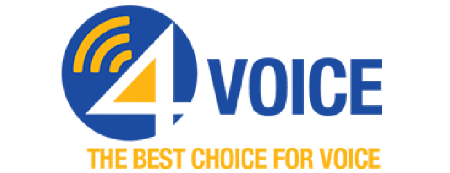 4Voice_Partner_Logo